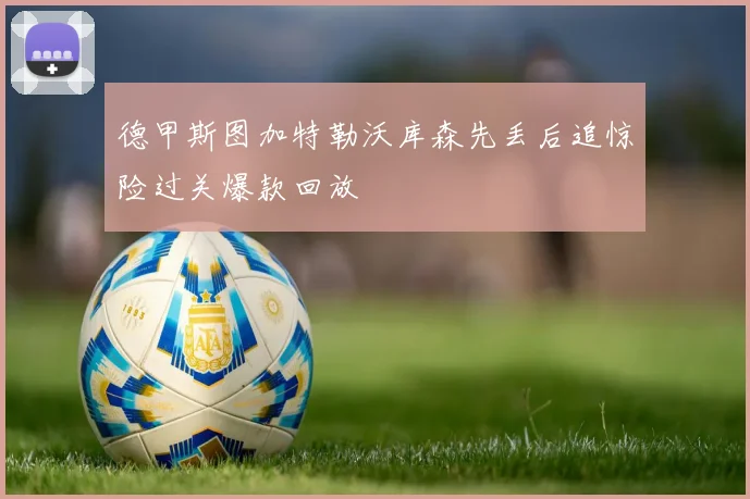 德甲斯图加特勒沃库森先丢后追惊险过关爆款回放