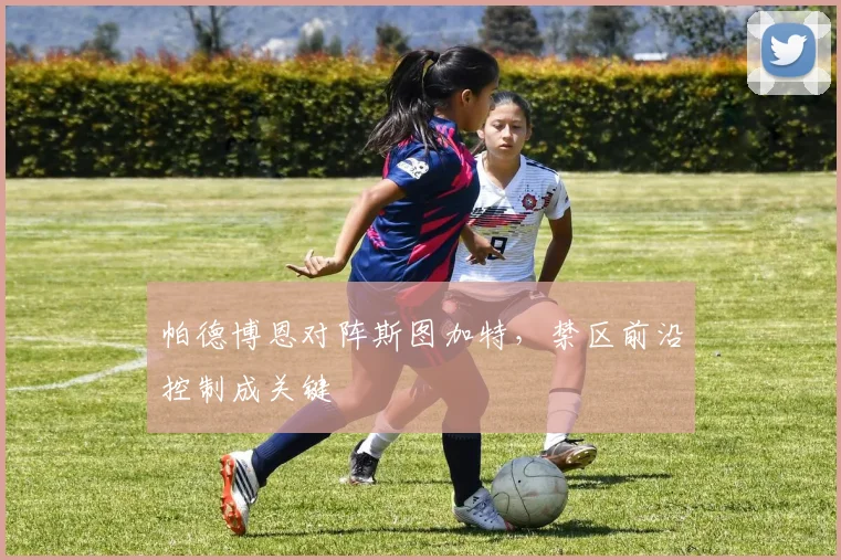 帕德博恩对阵斯图加特，禁区前沿控制成关键