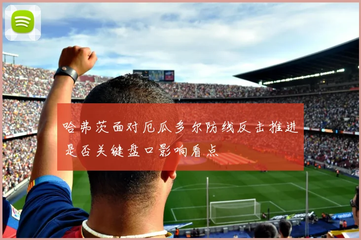 哈弗茨面对厄瓜多尔防线反击推进是否关键盘口影响看点