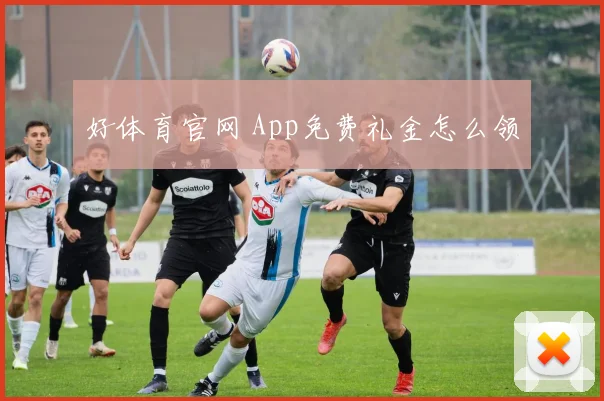 好体育官网 App免费礼金怎么领