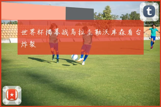 世界杯揭幕战乌拉圭勒沃库森看台炸裂