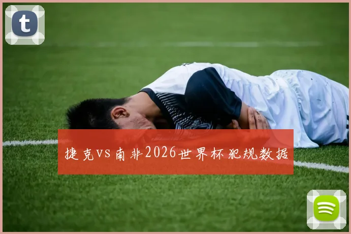 捷克vs南非2026世界杯犯规数据
