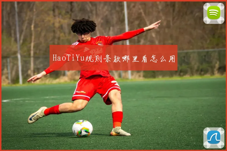 HaoTiYu规则条款哪里看怎么用