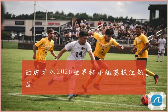 西班牙队2026世界杯小组赛投注热度