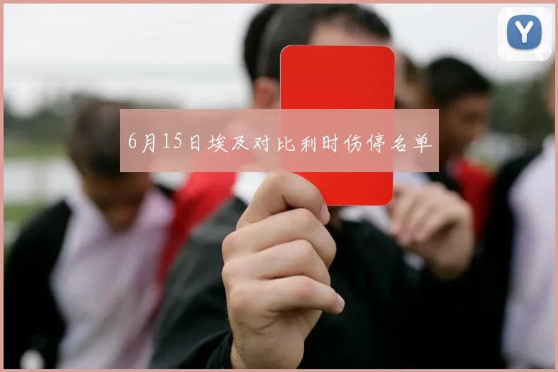 6月15日埃及对比利时伤停名单