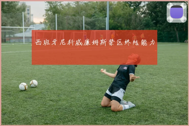西班牙尼科威廉姆斯禁区终结能力